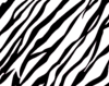 Zebra Print Background Image